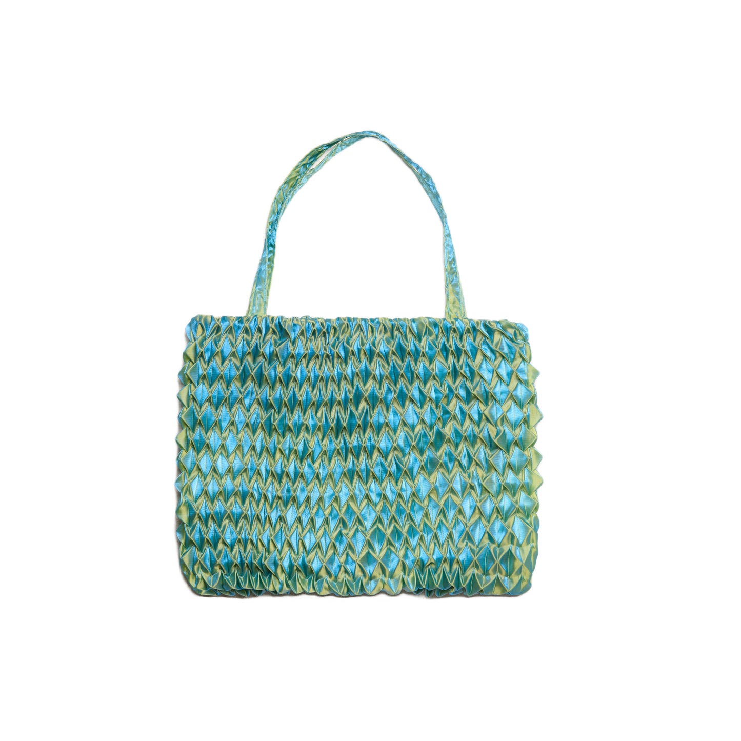 The Vision Pleated Bag